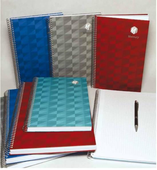 BAYINDIR DEFTER SERT A4 160 YP.CIZGILI MERCURY