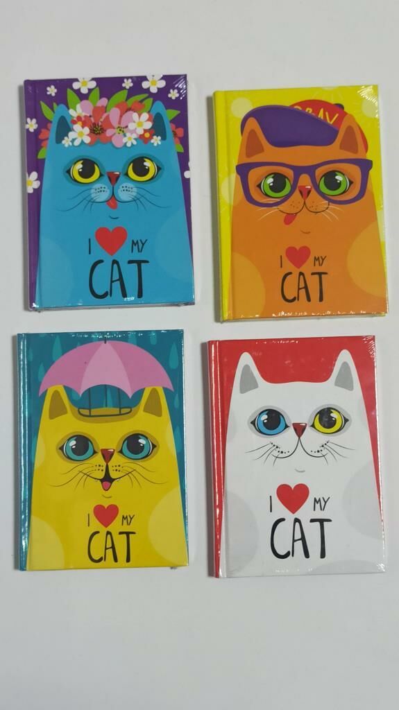 BAYINDIR10x14 96YP.KAR.NOT DEFTERI NEW CAT SERISI