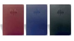 LIZ 17X24 SUNI DERI AJANDA CIZGILI (AJ927) 2024