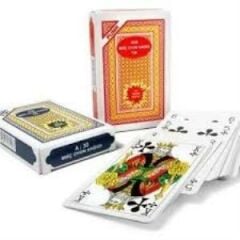 STAR PUMA OYUN KAGIDI A/30