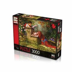 KS PUZZLE 3000 PARCA WHILE WAS WAITING (23004)