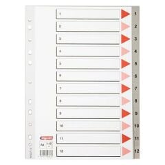 BIGPOINT SEPERATOR  PLASTIK A4 12 RENK (BP228-12)