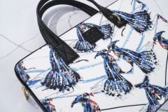 MINBAG BASHAQUES LAPTOP CANTASI 07 SONG BRID