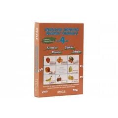 REGE INGILIZCE OGRETEN RESIMLI TOMBALA - 4