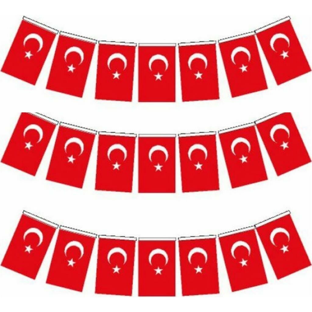 VATAN KAGIT BAYRAK IPLI ORTA 8X12CM 50 LI (807)