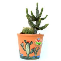 Teksas Konseptli Minyatür Saguaro Kaktüslü Tasarım- Seramik Çiçekli Kaktüs Desenli 12 cm Saksıda