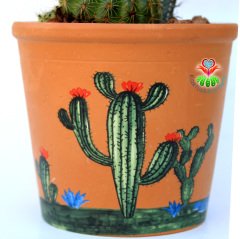 Teksas Konseptli Minyatür Saguaro Kaktüslü Tasarım- Seramik Çiçekli Kaktüs Desenli 12 cm Saksıda