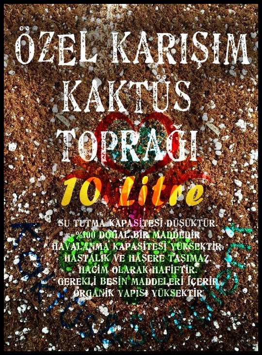 Özel Karışım Profesyonel Kaktüs ve Sukulent Toprağı 10 litre -Özel Tür Bitkiler İçinde Uygundur- Kaktüs Geliştirici 1.Sınıf Gerçek Kaktüs Toprağı Toprak