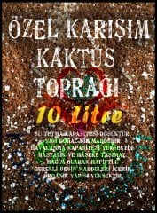 Özel Karışım Profesyonel Kaktüs ve Sukulent Toprağı 10 litre -Özel Tür Bitkiler İçinde Uygundur- Kaktüs Geliştirici 1.Sınıf Gerçek Kaktüs Toprağı Toprak