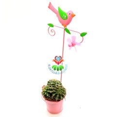 Kuş Aksesuarlı Pervaneli Dekoratif Metal Saksı- 5,5 cm Hazneli-Pembe Renk-Çok Şık