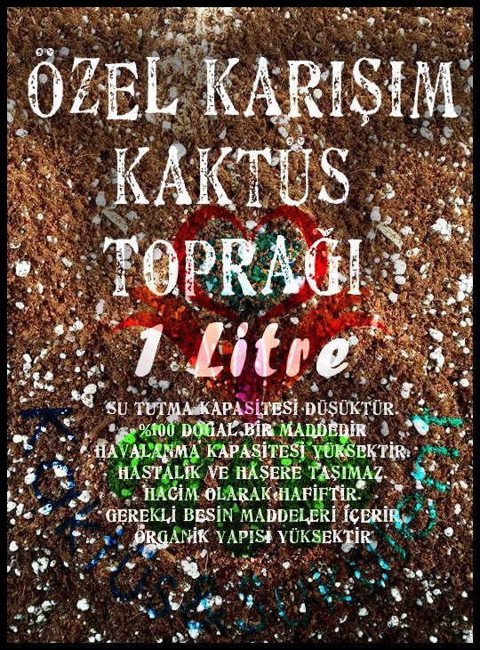 Özel Karışım Profesyonel Kaktüs ve Sukulent Toprağı, Toprak