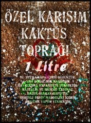 Özel Karışım Profesyonel Kaktüs ve Sukulent Toprağı, Toprak