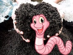 Organik Solucan Gübresi-Vermicompost-2 LT Ambalajlı Vermikompost