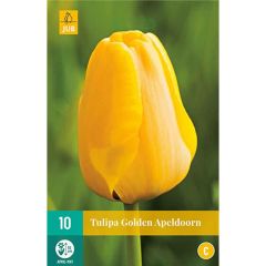 Sarı Lale Soğanı-Tulpen Golden Apeldoorn-10 Adet Soğan-55 cm Büyüklükte Bitki Çıkarır