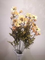 Kır Papatya 10'lu Çiçek