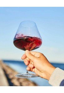Burgundy 2'li Kırmızı Şarap Kadehi 11102