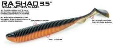 Molix RA Shad 3,5'' (6 pcs)  col. Savetta