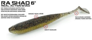 Molix RA Shad 6'' (4 pcs)  col. Watermelon Gold Chart