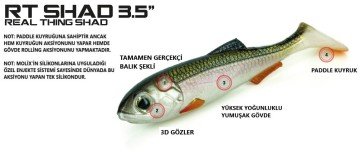 Molix Real Thing Shad 3.5'' (5 pcs)  col. Mixed Pack 1