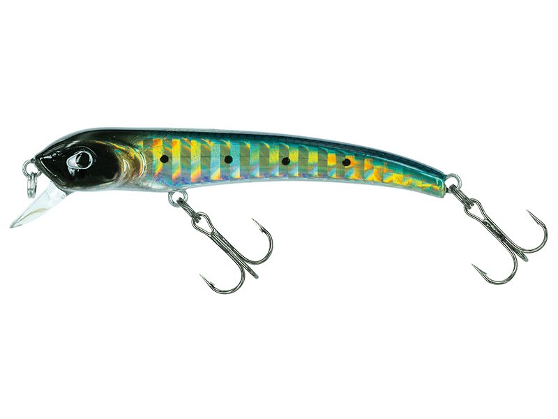 Molix Audace 65 Suspending  col. Real Sarda