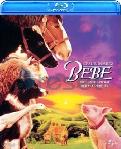 Bebe Cesur Domuz Blu-Ray