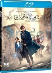 Fantastic Beasts - Fantastik Canavarlar Blu-Ray