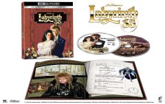 Labyrinth 4K Ultra HD+Blu-Ray 2 Disk Digibook Şeffaf Plastik Kılıf