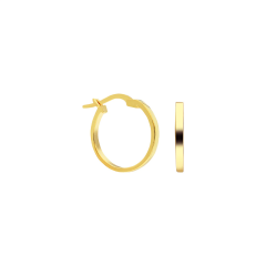 Halka Gümüş Küpe 718872 Gold