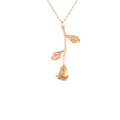Rosita Kolye 719059 Gold