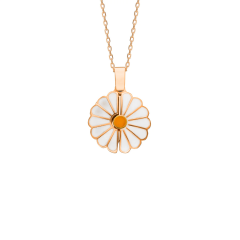 Daisy Kolye 718923 Rose