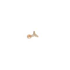 Balık Kuyruğu Piercing 717123 Rose