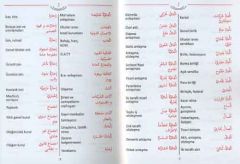 Arapça Ekonomi Sözlüğü