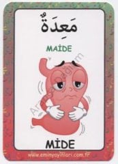 Arapça Resimli Kelime Kartları 9 Vücut-Organlar