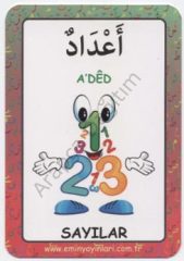 Arapça Resimli Kelime Kartları 13 Sayı-Renk-Şekil