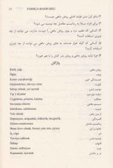 Farsça Basın Dili