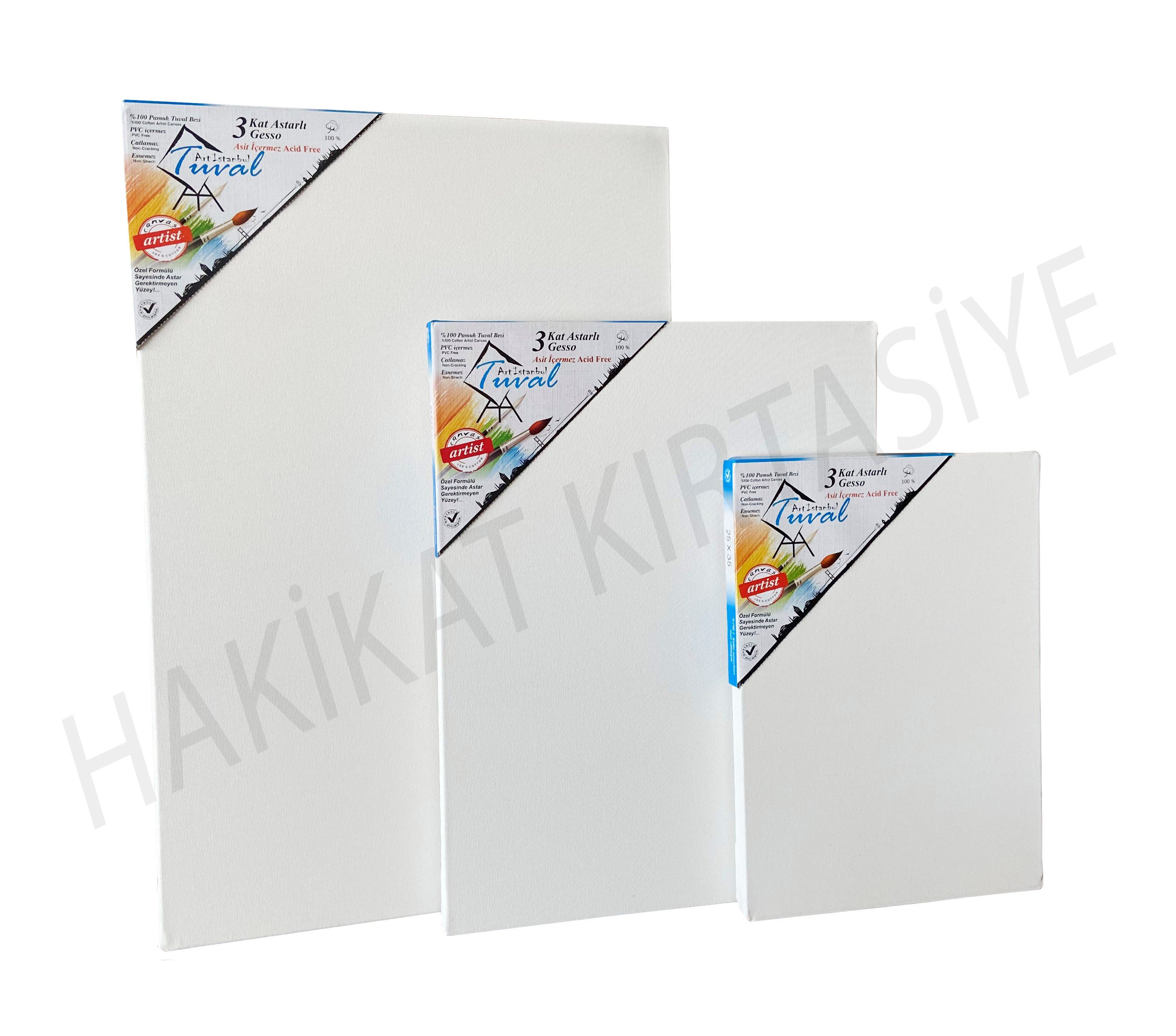 Art İstanbul Profesyonel Tuval 70x110 Standart Şasi