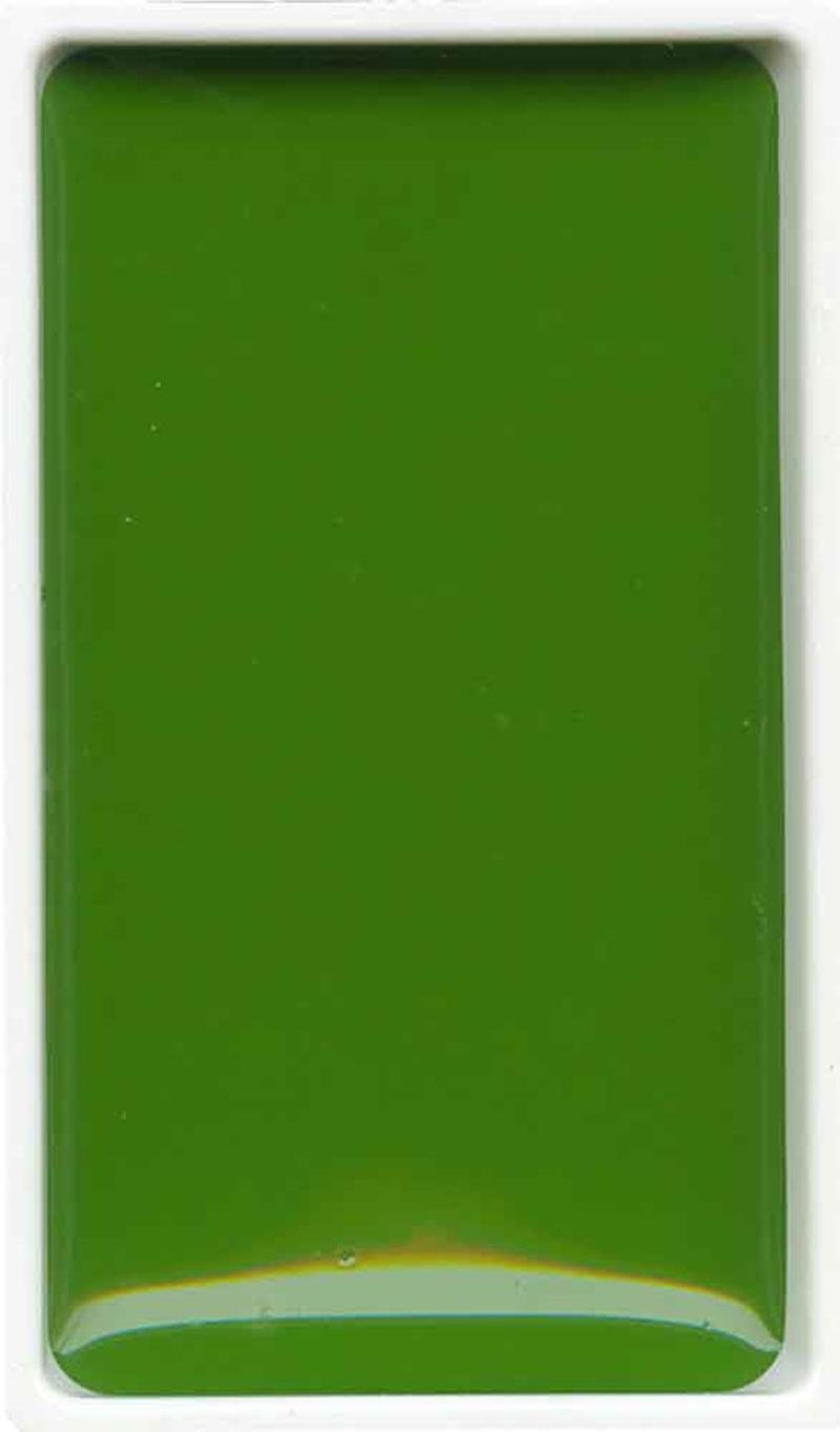 Zig Gansai Tambi Suluboya Tablet No 53 Sap Green