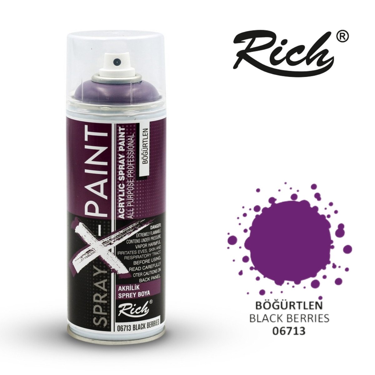 Rich X Paint Sprey Boya 400ml 06713 Böğürtlen