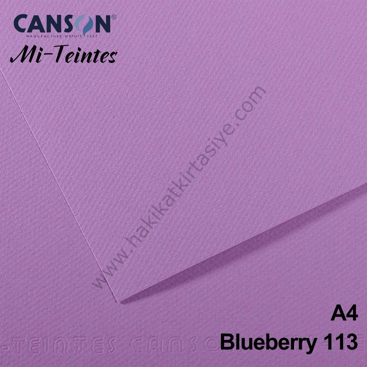 Mi-Teintes 160gr A4 113 Blueberry 3lü