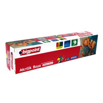 Bigpoint Akrilik Boya Seti 6x25ml