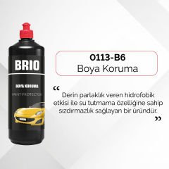 Brio Boya Koruma 250 Ml