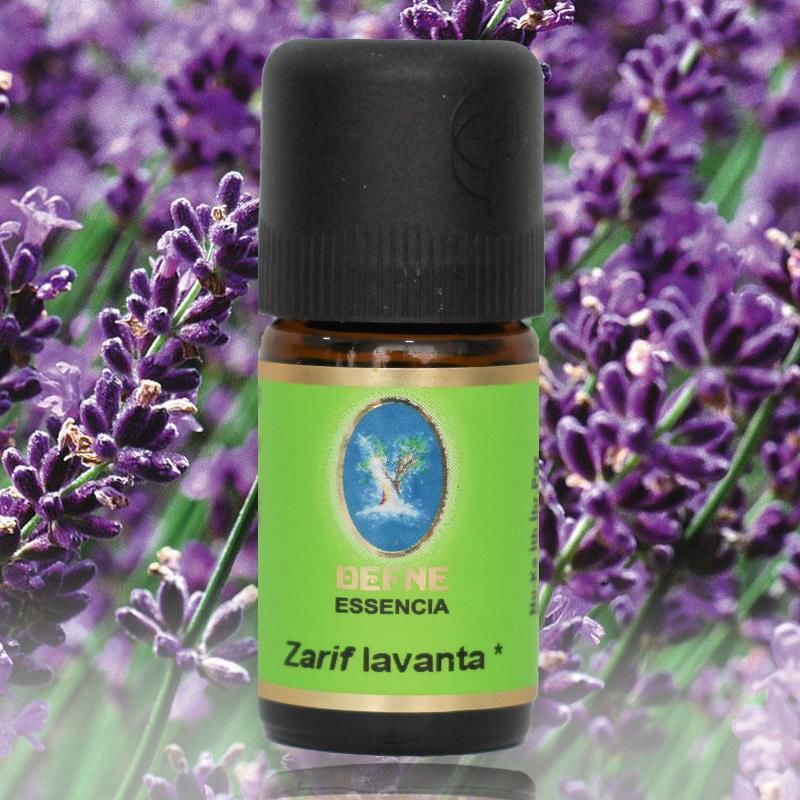 Zarif Lavanta