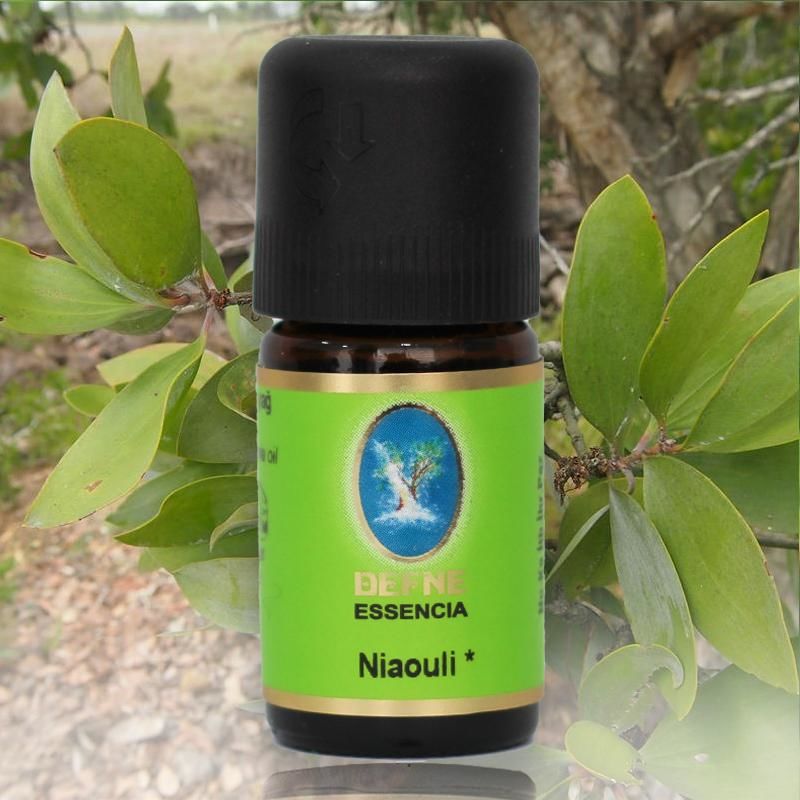 Niaouli