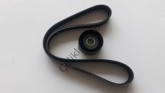 V Kayışı Alternatör Seti Kütüksüz S40 V50 C30 S60 V60 S80 V70 1,6Dizel 30731765