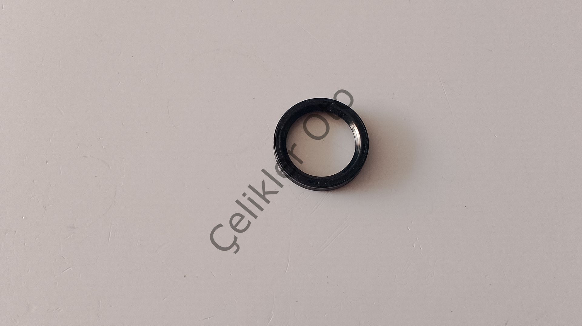 Yağlı Elektrovana Keçesi Laguna 2 Megane 2 7700106385