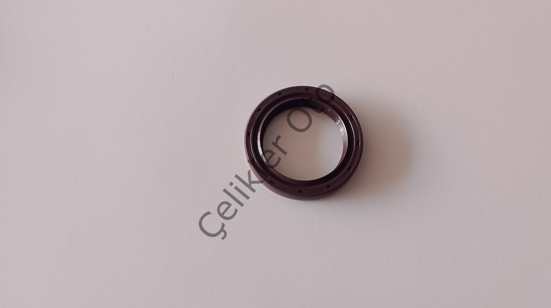 Aks Keçesi Fluence Megane 3 DC4 383427234R
