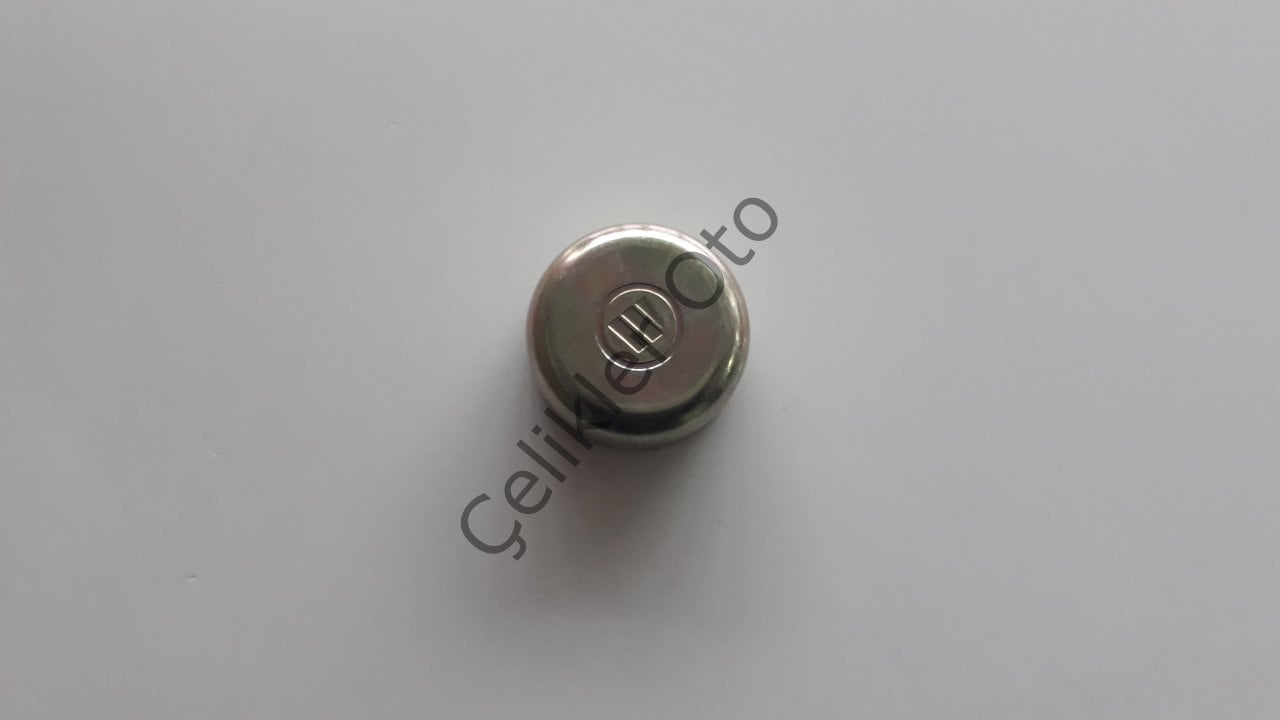 Porya Toz Kapağı Renault R12 Toros 7703075084
