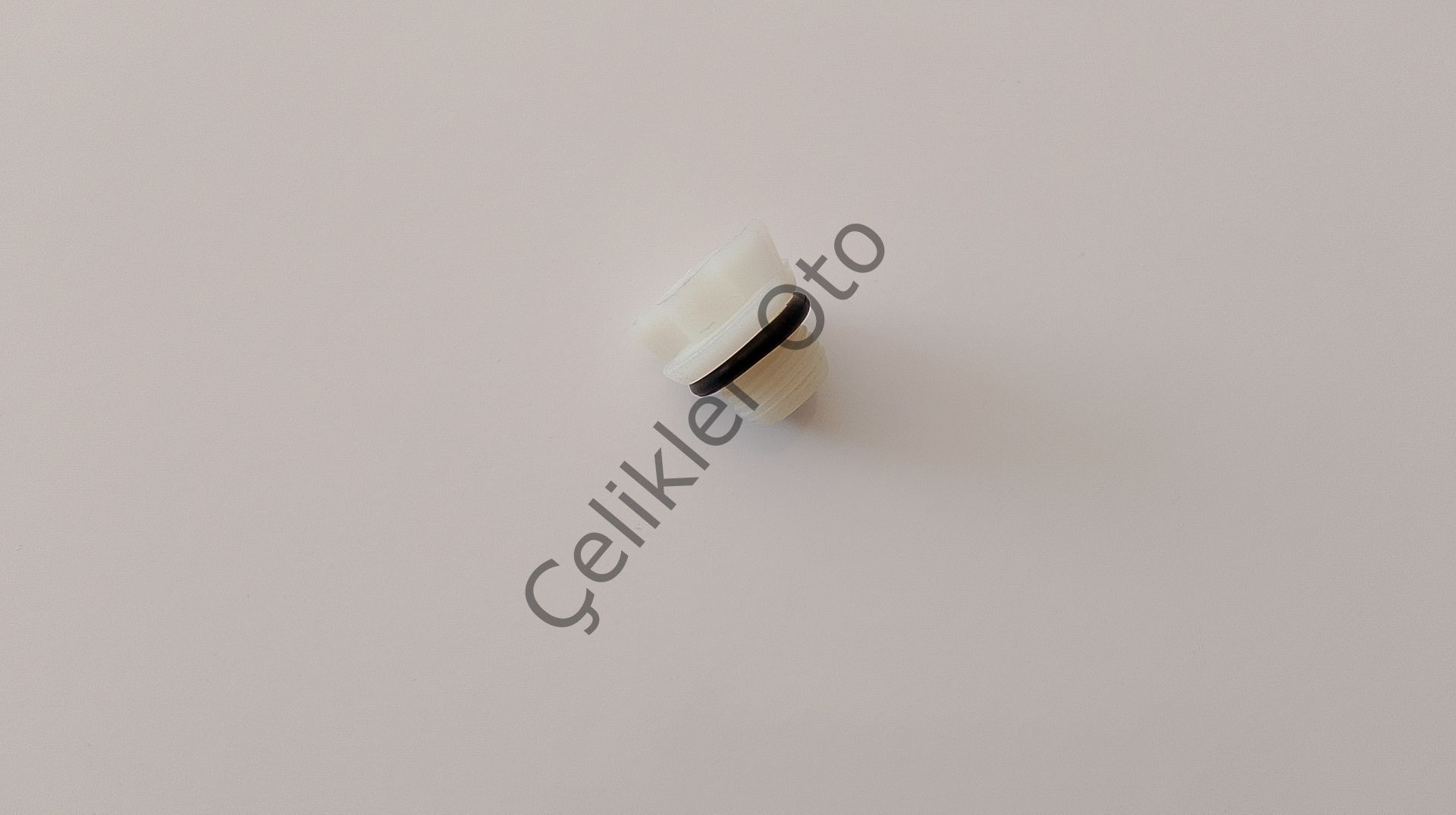 Şanzuman Yağ Tapası R9 R11 R19 Clio Megane Kango 7703075180