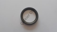 Arka Kampana Abs Okuyucu Clio 4 Sandero Stepway 432000978R