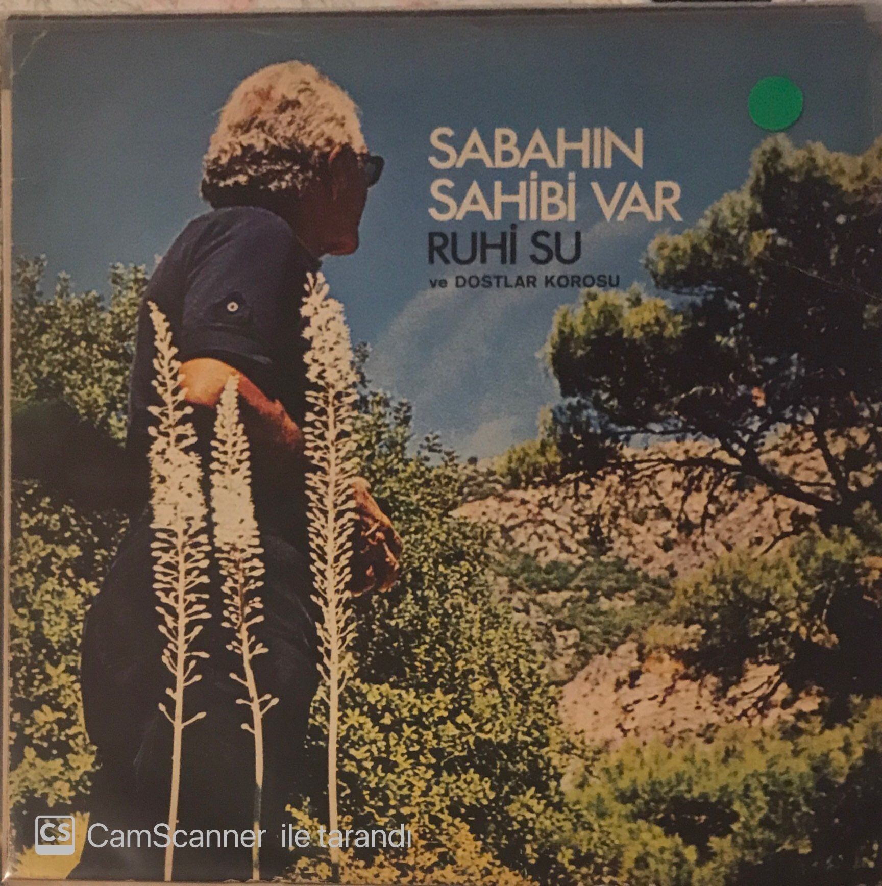 Ruhi Su ve Dostlar Korosu / Sabahın Sahibi Var LP